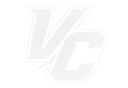 VeltX Company